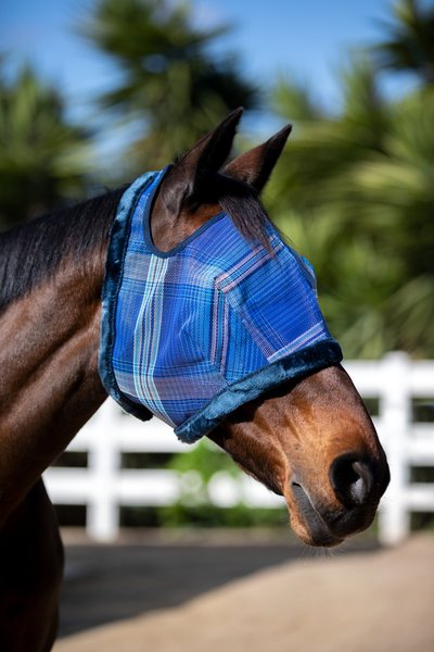 Kensington Protective Products Signature Horse Fly Mask