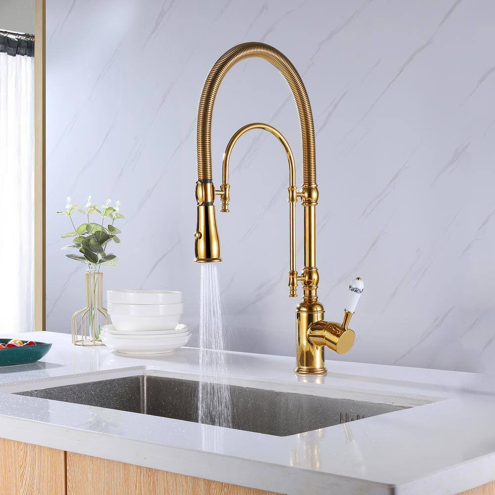 Tomfaucet Single-Handle Pull Down Sprayer Kitchen Faucet with Advanced 2-Setting Spray in Brushed Gold TFB0836BG