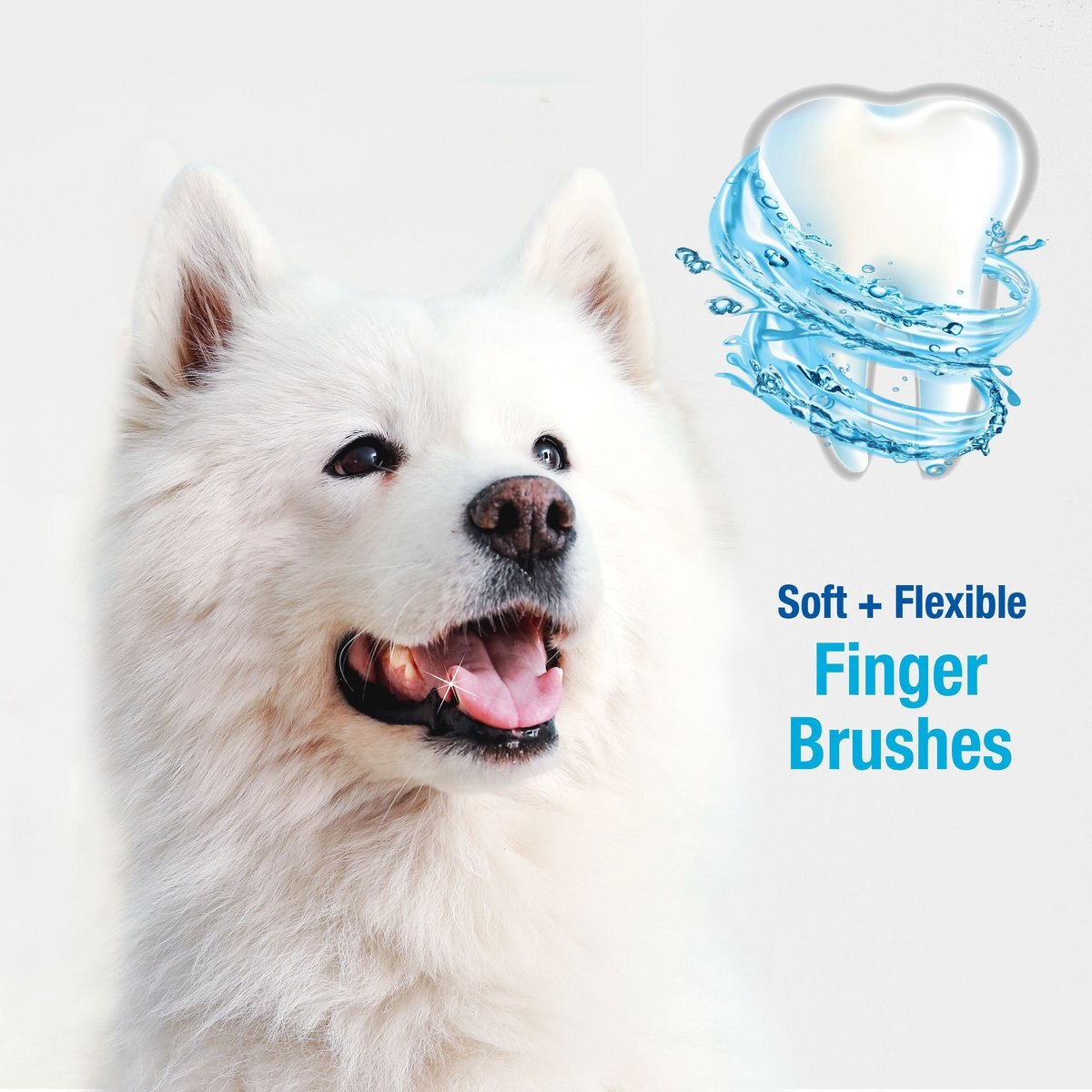 Nylabone Advanced Oral Care Finger Dog Brush， 2 count