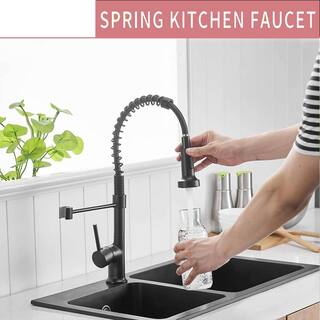 FLG Commercial Kitchen Sink Faucet with Pull Down Sprayer Spring Kitchen Faucets Single Handle Brass 1 Hole Taps Matte Black CC-0040-MB