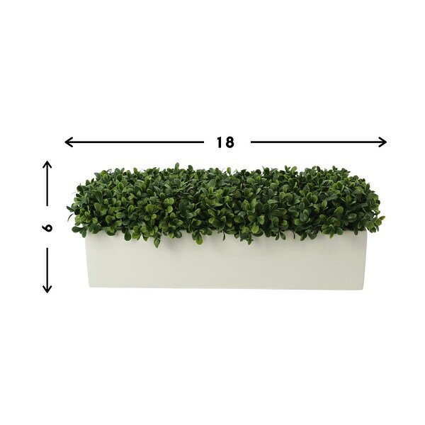 UV Rated Outdoor Boxwoods Arranged in a Rectangular Planter