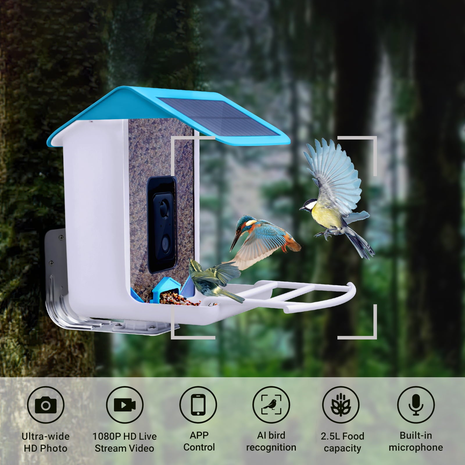 Smart Bird Feeder with Camera，Bird House，Birdsoulmate AI Smart Bird Feeder，Camera 1080P HD Video，WiFi Connection