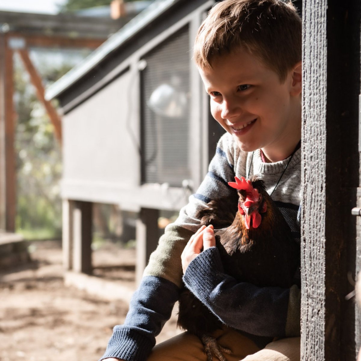 Scratch and Peck Feeds Cluckin' Good Organic Scratch n' Corn Poultry Treats