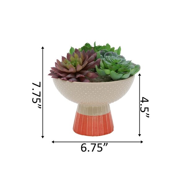 Artificial Plant Succulent Mix in Two Tone Bowl Ceramic Planter