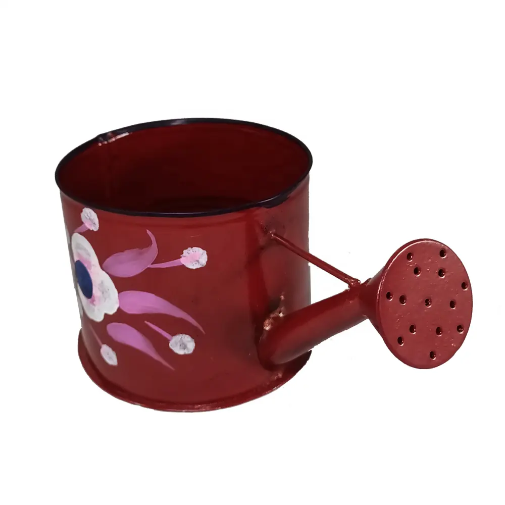 Decorative Watering Can Hand Painted Flower Design Metal Watering Planter can Red Color Indoor and Outdoor in Reasonable Price