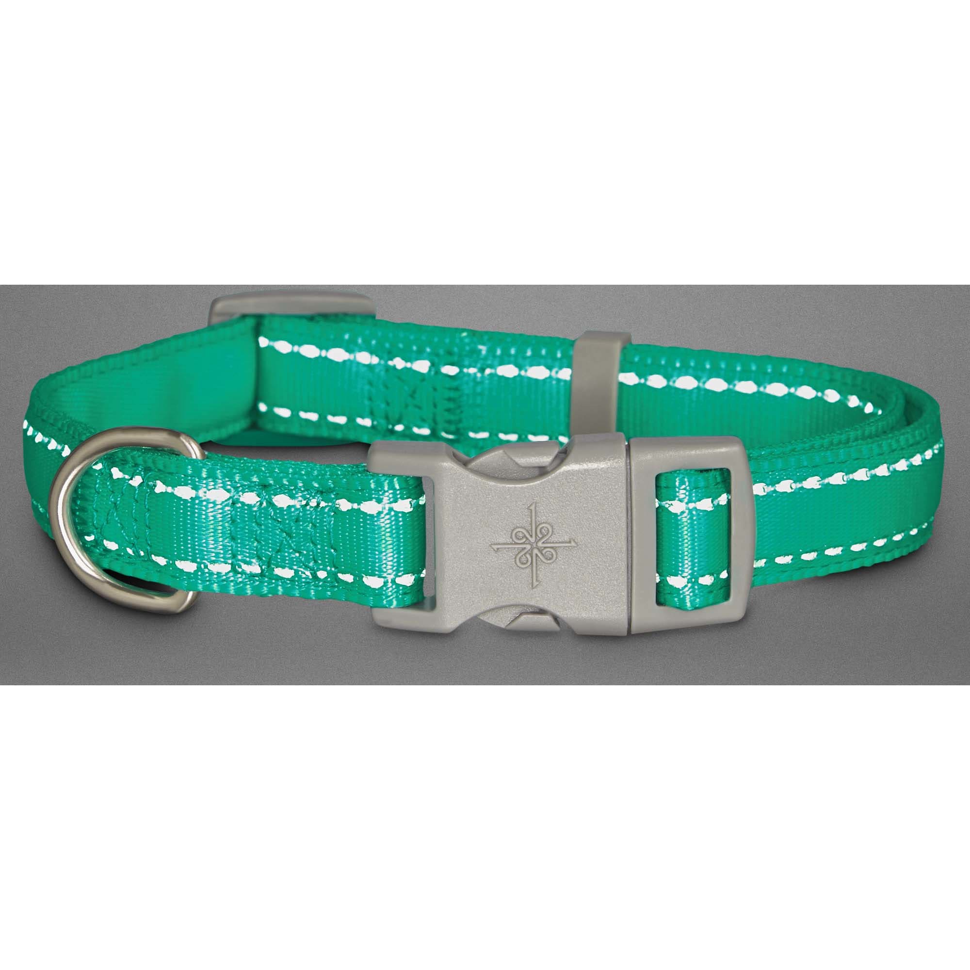 Good2Go Reflective Adjustable Padded Dog Collar in Turquoise， Small