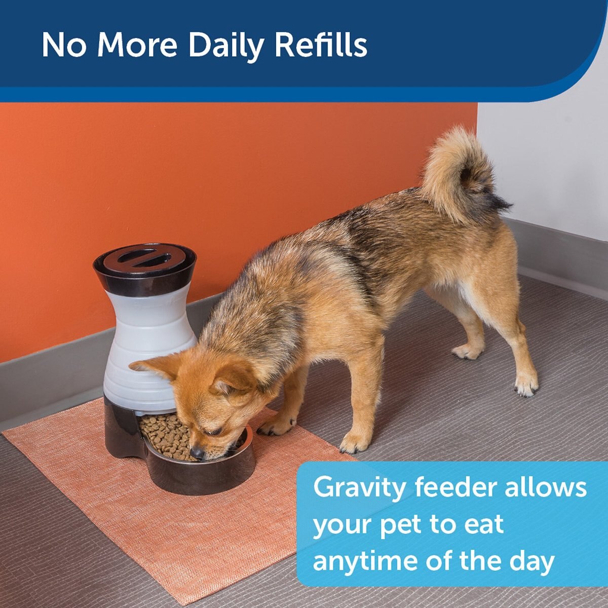 PetSafe Healthy Pet Food Station Gravity Refill Dog and Cat Feeder