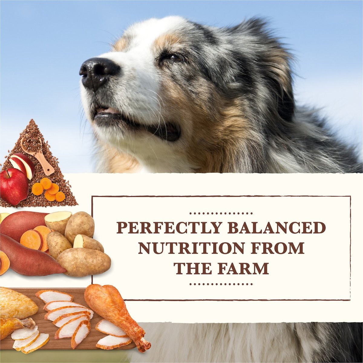 Whole Earth Farms Grain-Free Chicken and Turkey Recipe Dry Dog Food