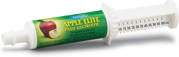 Farnam Apple Elite Electrolyte Paste Apple Flavor Horse Supplement