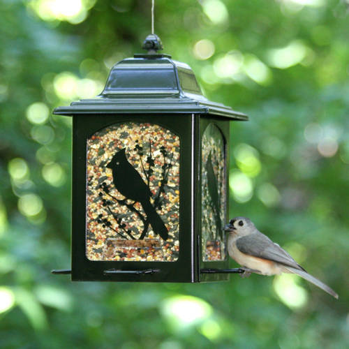 Perky-Pet Birds and Berries Lantern Feeder