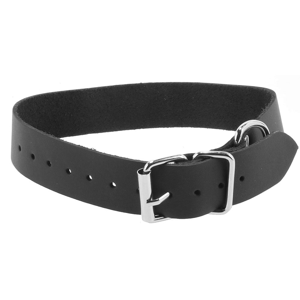 Comfort Fit 1 Inch Leather Collar