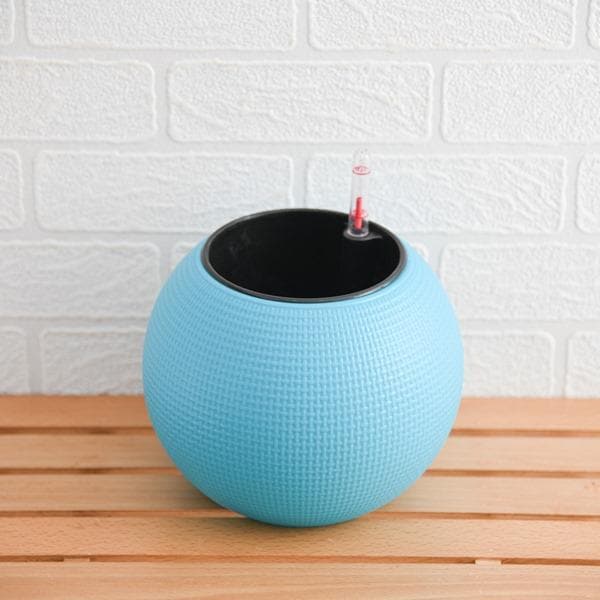 4.9 inch (12 cm) GW 01 Self Watering Round Plastic Planter (Blue)