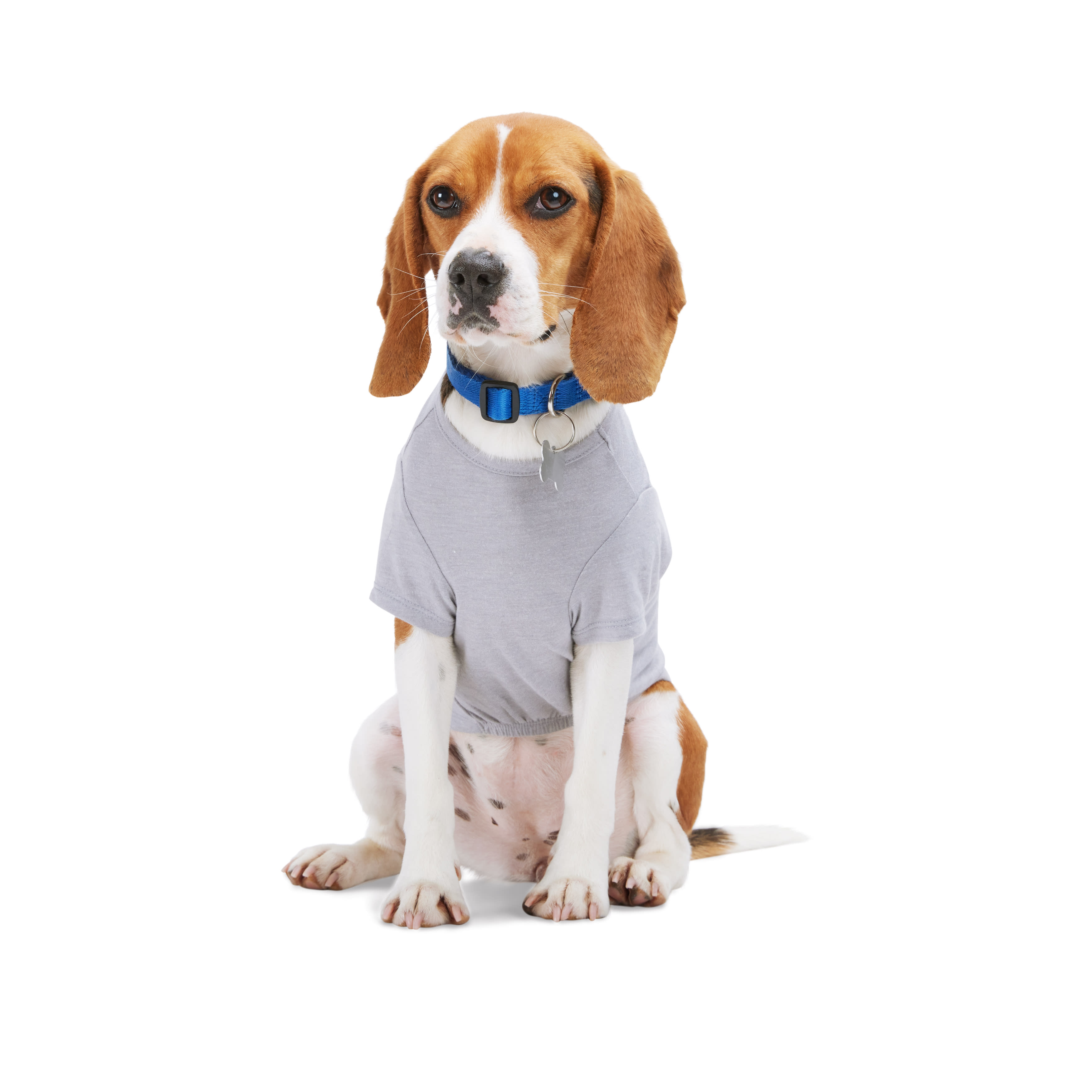 YOULY Pawparazzi Dog Tee， XX-Small