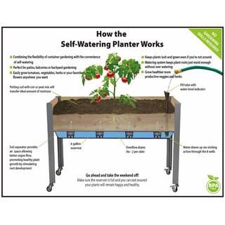 cedarcraft Beautiful. Functional. Sustainable. 21 in. x 47 in. x 32 in. H Self-Watering Cedar Planter CC_SW2147AC