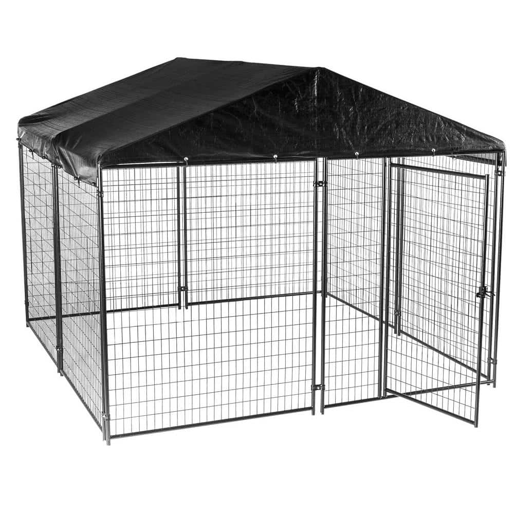 Lucky Dog 6 ft. H x 10 ft. W x 10 ft. L Modular Kennel with Cover and Frame CL 69145