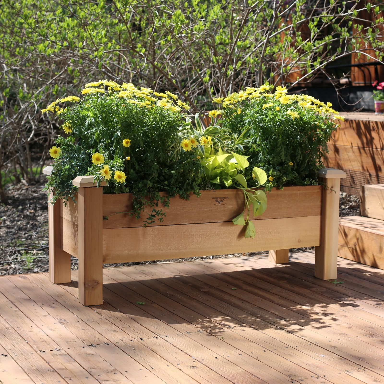 Gronomics RPB 18-48 9 in. Deep Rustic Planter Box 18 x 48 x 19 in.