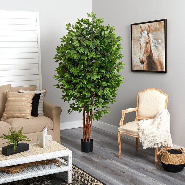 6.5' Deluxe Ficus Tree