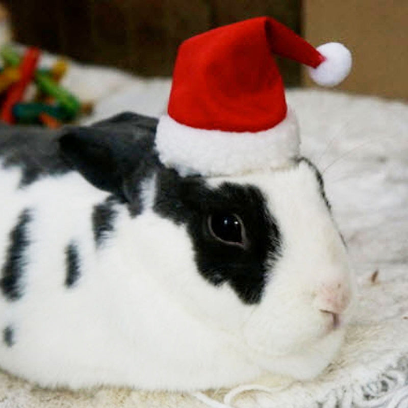 Legendog Small Pet Christmas Costume Hamster Santa Hat Xmas Claus Cap with Scarf for Guinea Pig Chinchillas Rabbit Hamster