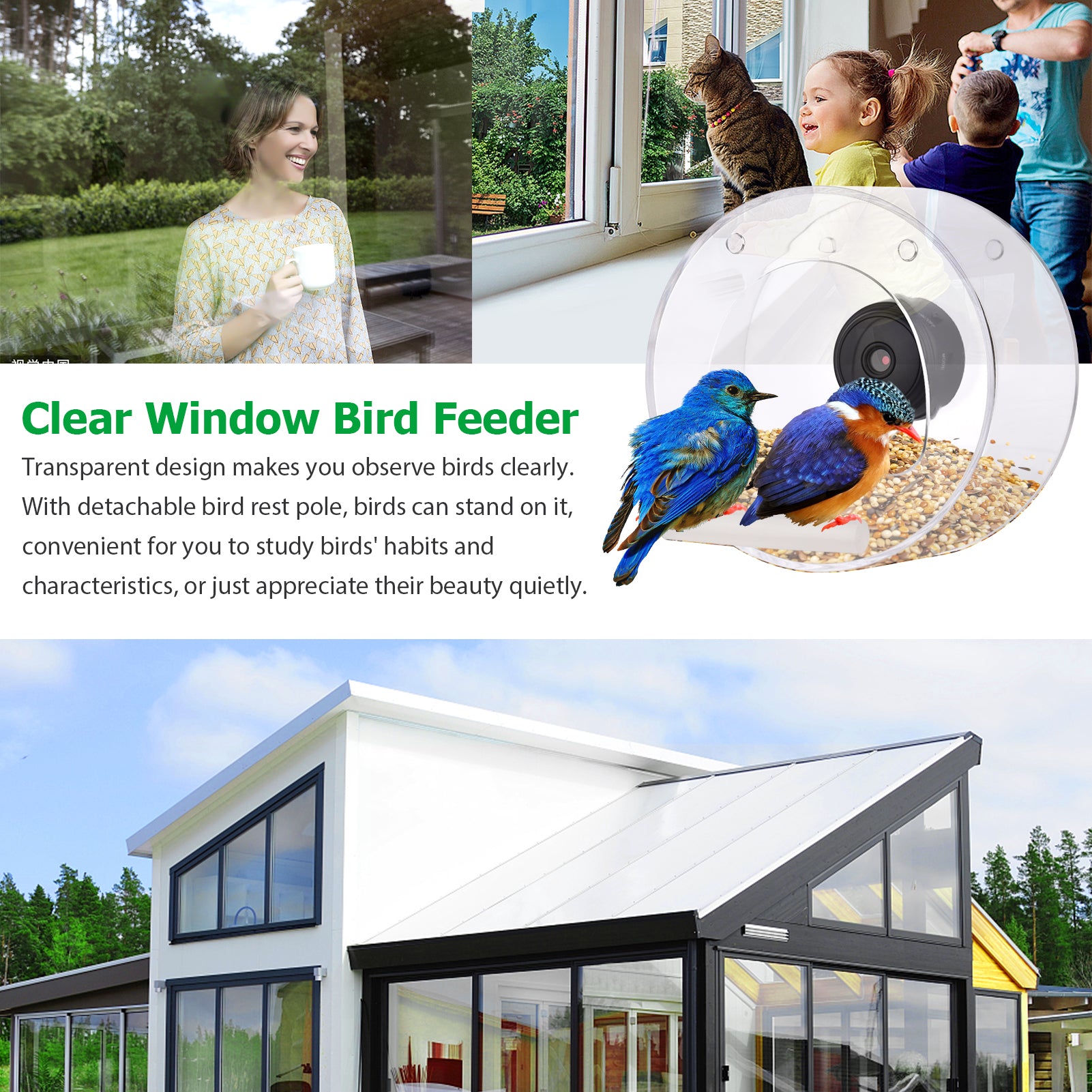 Clear Window Bird Feeder with Suction Cup Hanging Chain and Standing Pole Transparent Round Outside Birdhouse for Close Up View Outdoors Wild Birds