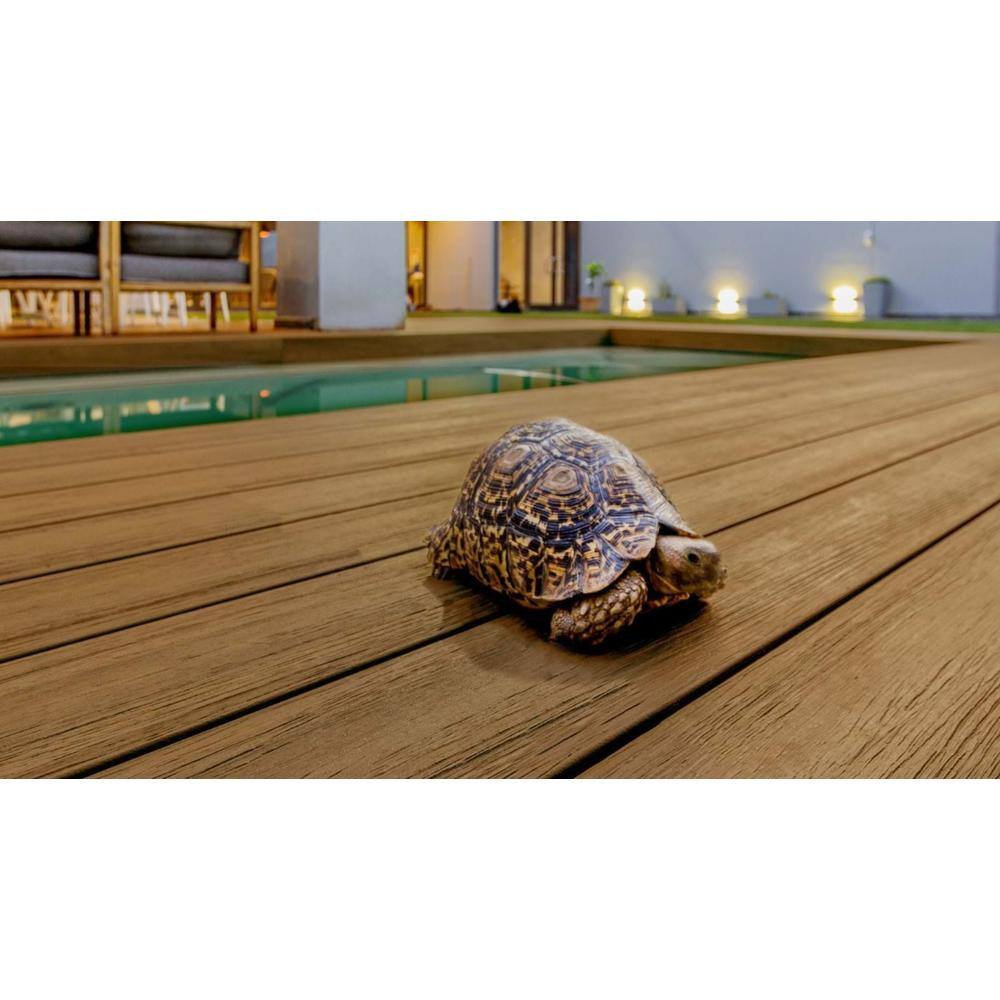 FORTRESS Infinity IS 1 in. x 6 in. x 8 ft. Oasis Palm Brown Composite Grooved Deck Boards (2-Pack) 241060810