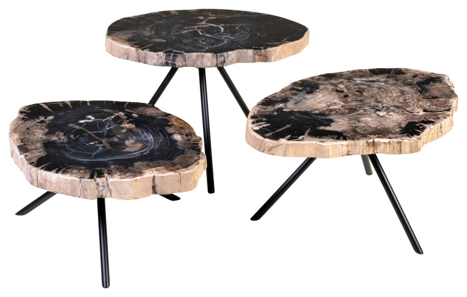 Petrified Wood Coffee Table Set  3 Piece Set  Versmissen   Contemporary   Coffee Table Sets   by Oroa   Distinctive Furniture  Houzz