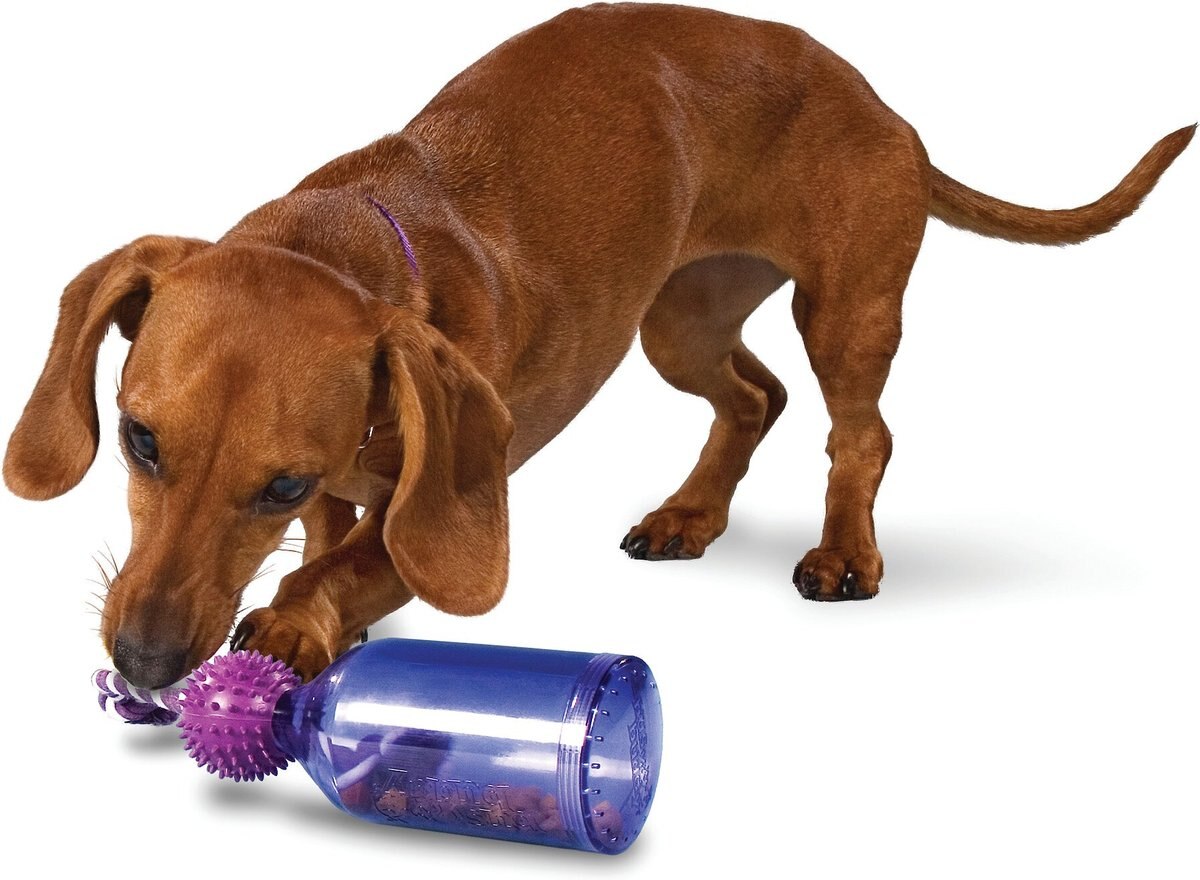 PetSafe Busy Buddy Tug-A-Jug Treat Dispenser Tough Dog Chew Toy