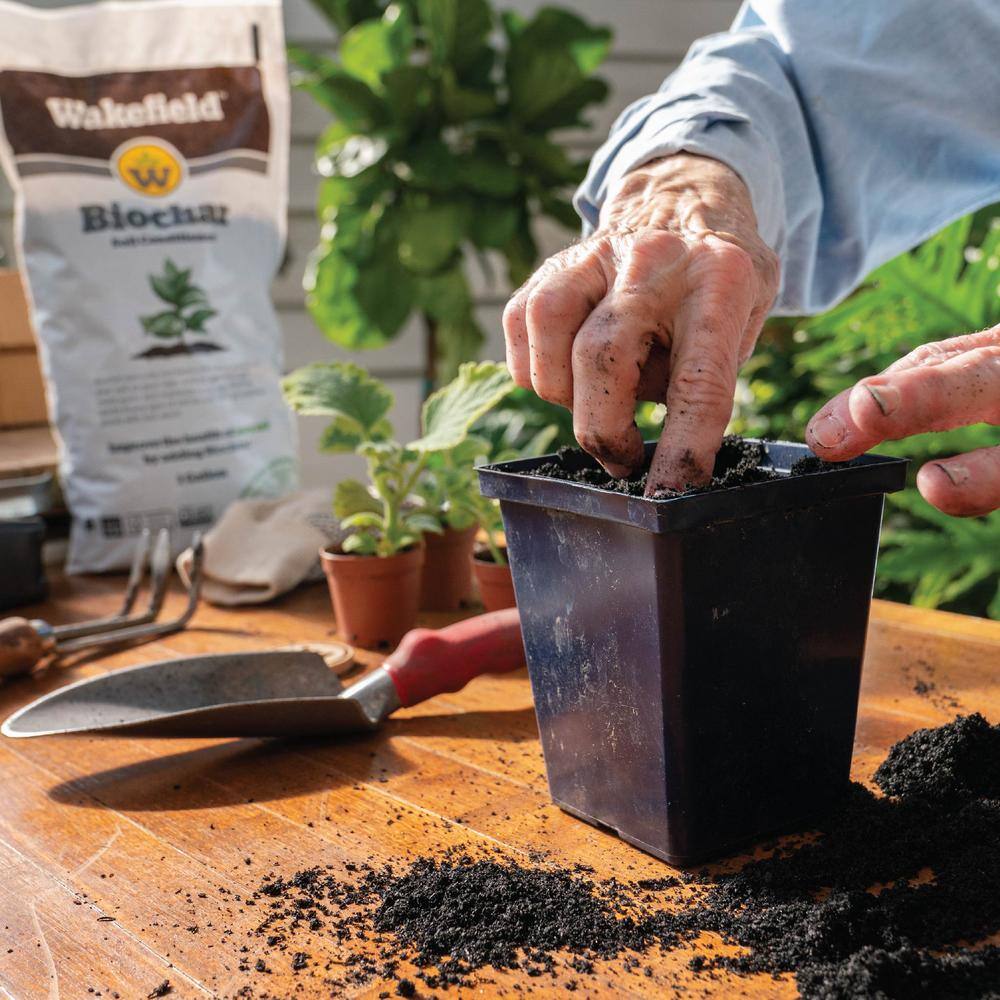 WAKEFIELD BioChar Premium Soil Amendment - 1 cu. ft. Bag 04109