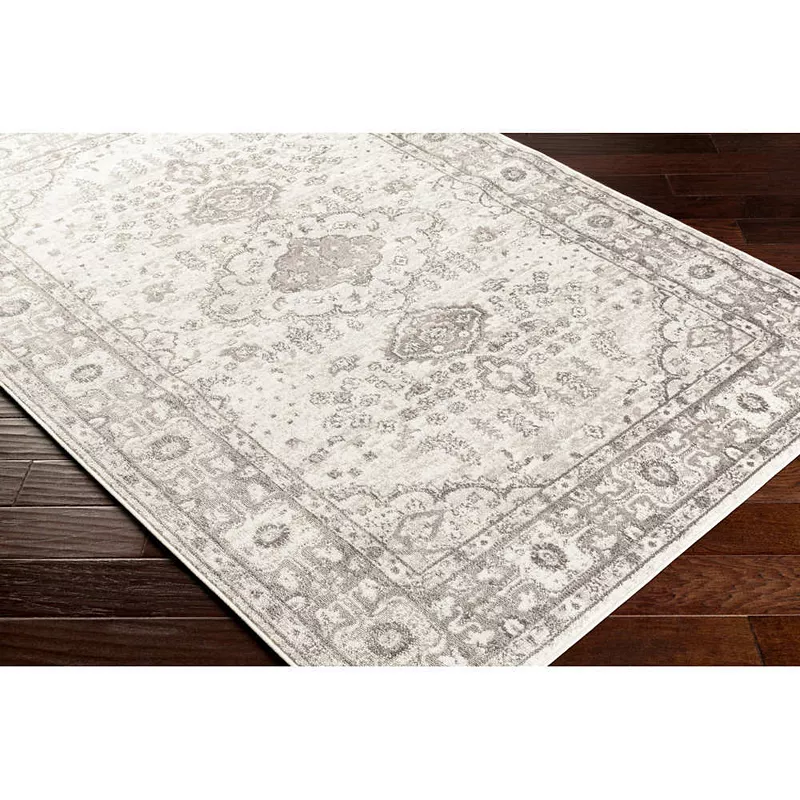 Workum Traditional Area Rug