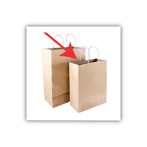 Cosco Premium Shopping Bag  COS091565