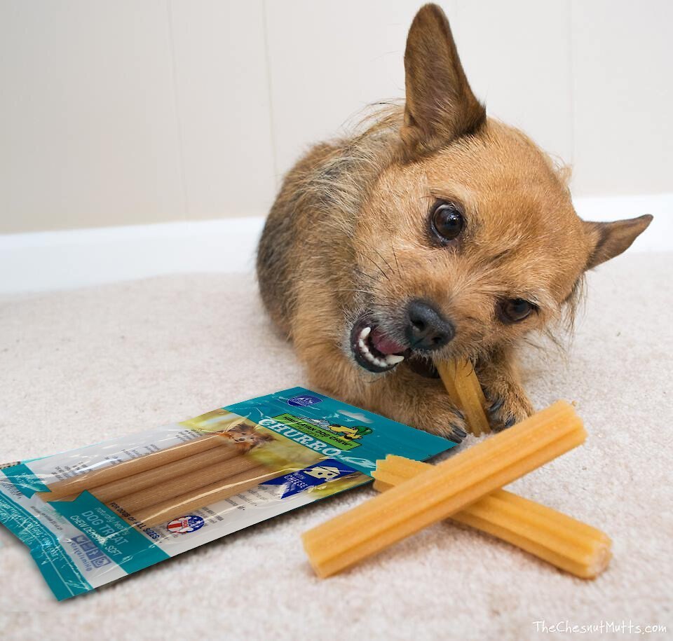 Himalayan Pet Supply yakyCHURRO Cheese Dog Treats