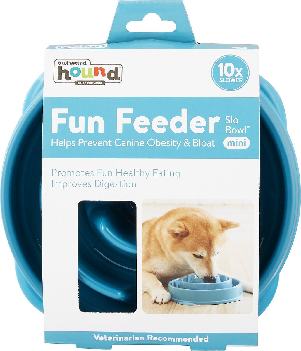 Outward Hound Non-Skid Plastic Slow Feeder Interactive Dog Bowl