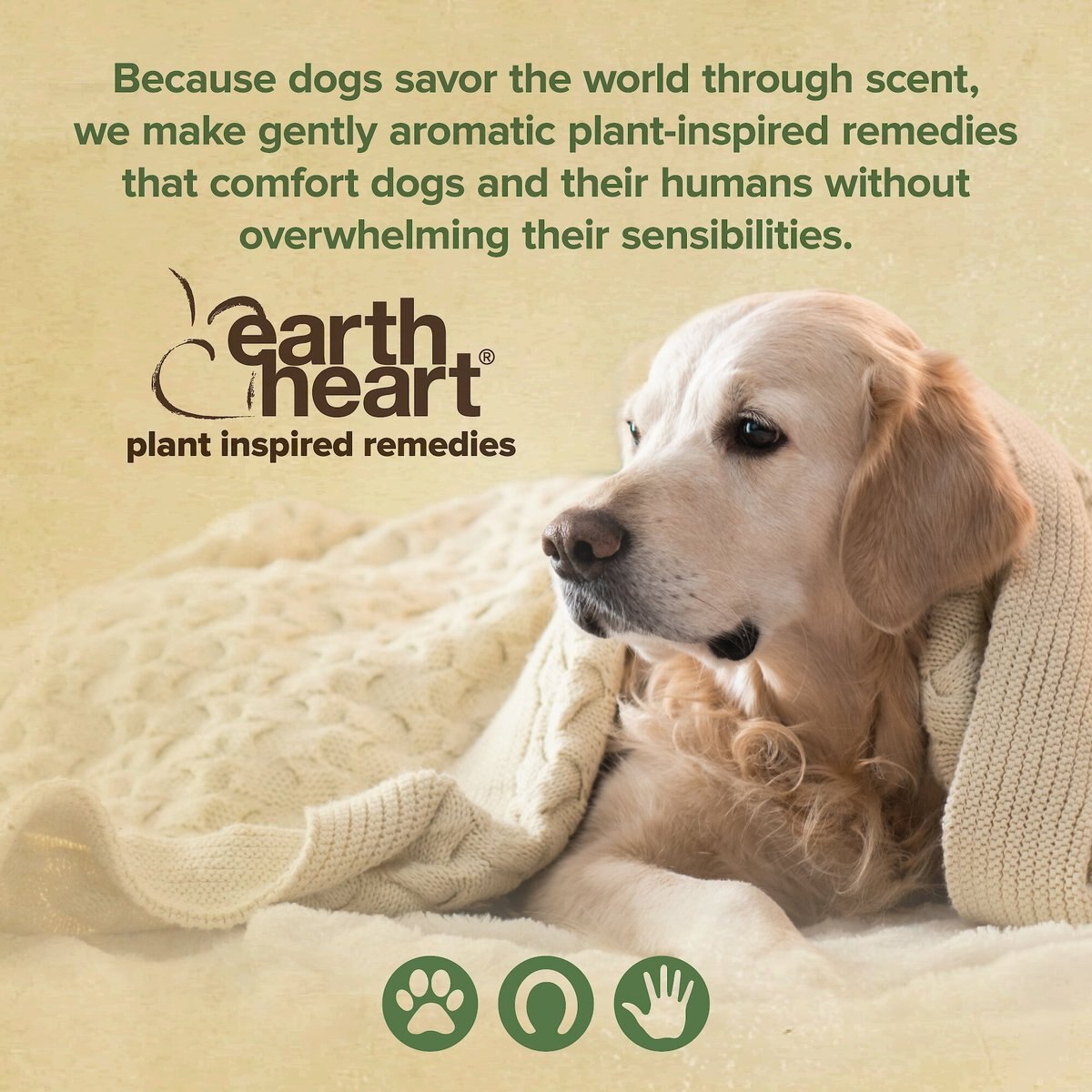 Earth Heart Travel Calm Aromatherapy for Dogs