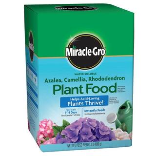 Miracle-Gro Water-Soluble 1.5 lb. Azalea Camellia and Rhododendron Plant Food 1000701