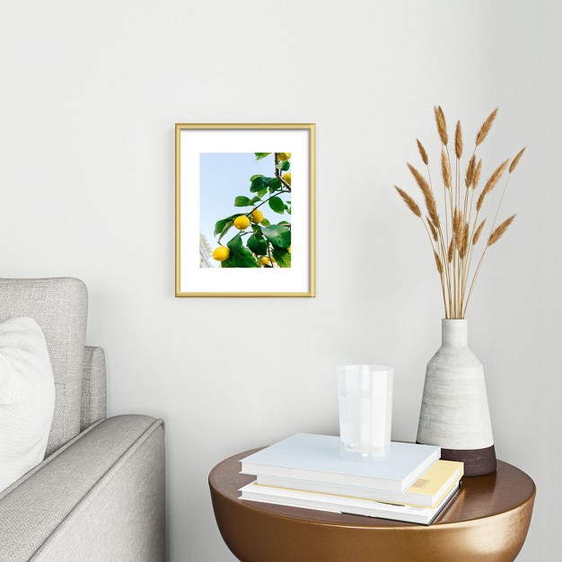 Gold Metal Framed Art Print Deny Designs