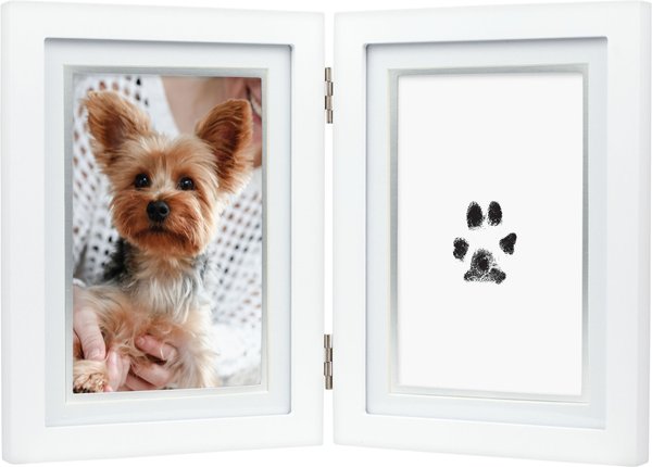 Pearhead Pawprints Desk Frame and Ink Kit， 4 x 6-in