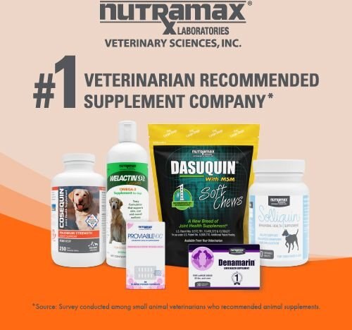 Nutramax Imuquin Immune Support Powder Immune Supplement for Dogs， 30 count