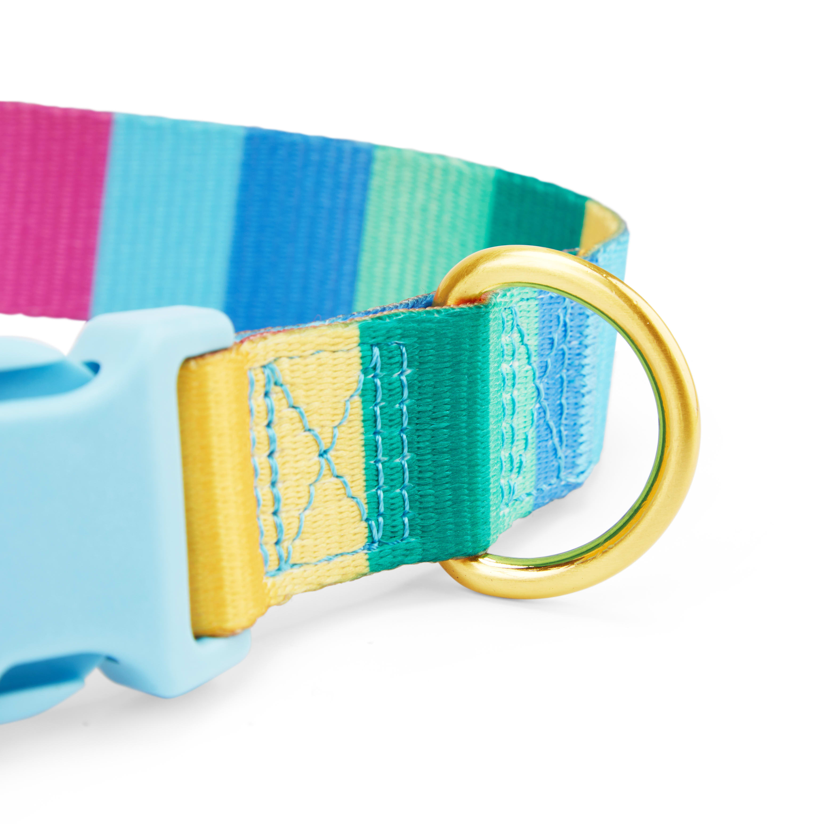 YOULY Rainbow Stripe Dog Collar， X-Small/Small