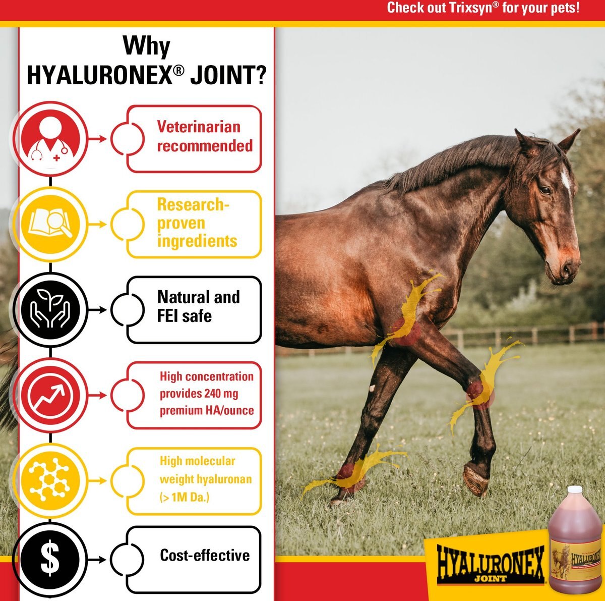 Hyaluronex Joint Support Liquid Horse Supplement