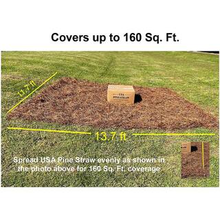 USA PINESTRAW Box of 160 Sq.ft. Long Needle Pine Straw Mulch HD-88-3EQ8-R75E