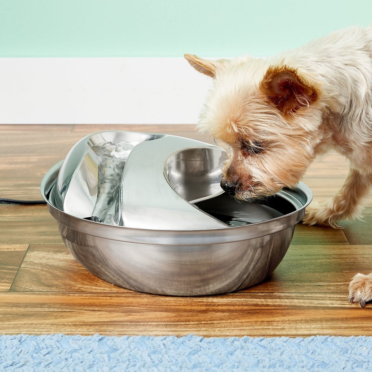 Pioneer Pet Stainless Steel Dog and Cat Fountain Raindrop Design