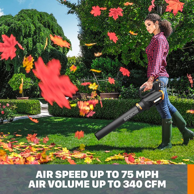 Worx Wg547 1 Turbine Two Speed Cordless Leaf Blower