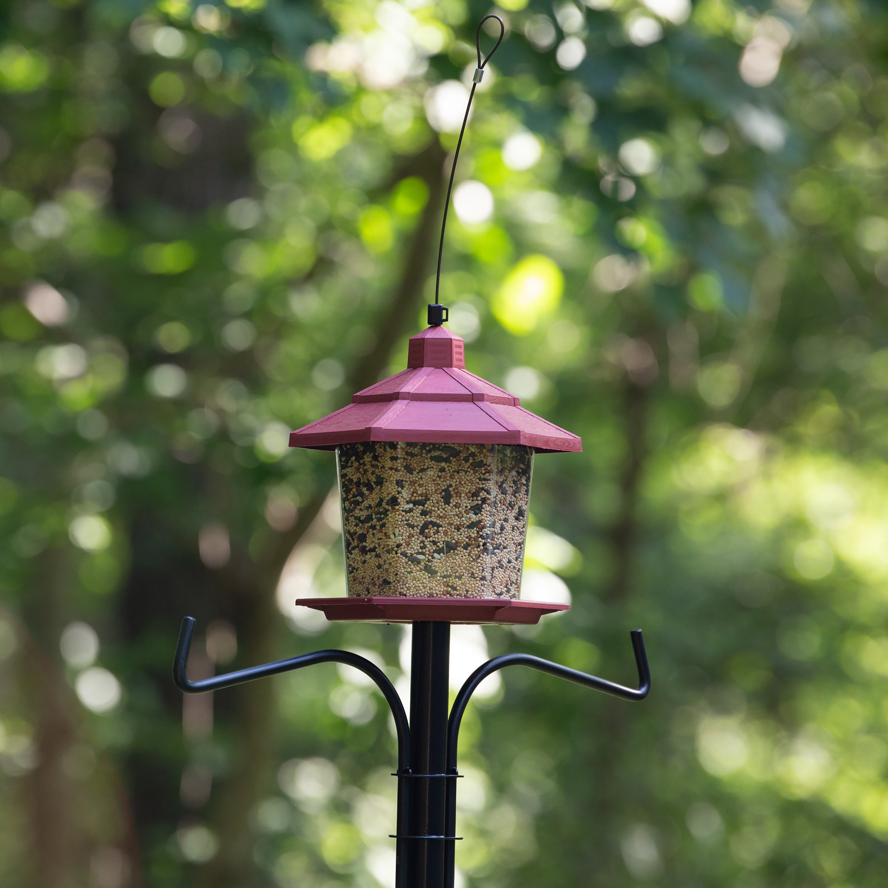 Pennington Wild Bird Feeder Earth Smart Petite Ecozebo， 2.5 lb. Seed Capacity