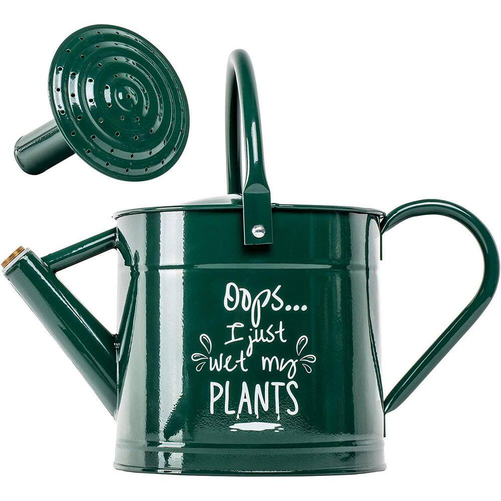 EVEAGE 1 Gal. Cute Garden Outdoor Watering Can Large Galvanized Flower Watering Can JSGHWX