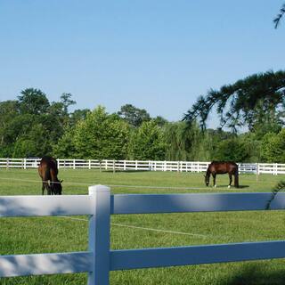 Weatherables 4 ft. H x 8 ft. W 3-Rail Vinyl Fence Panel EZ Pack PWHF-THD3RAIL6.5-1.5x5.5