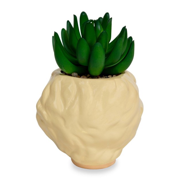 Easysfind The Golden Girls Rose 3 25 inch Ceramic Mini Planter With Artificial Succulent