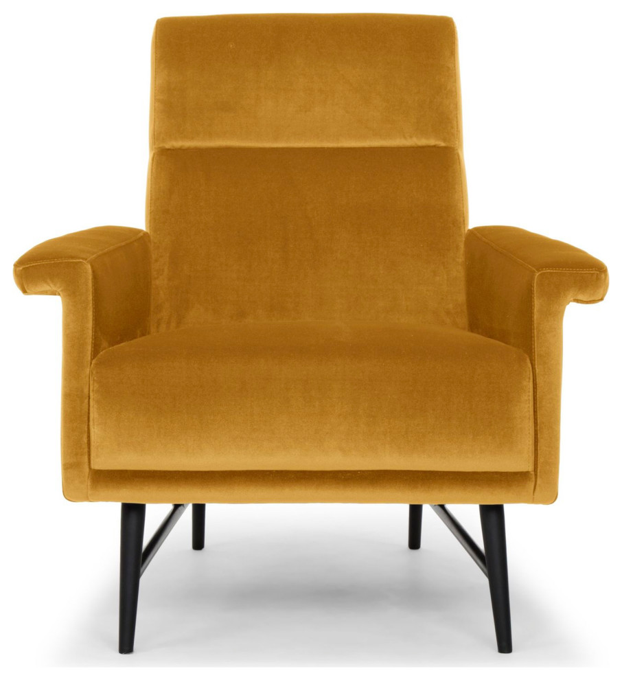 Nuevo Furniture Mathise Occasional Chair   Midcentury   Armchairs And Accent Chairs   by Unlimited Furniture Group  Houzz