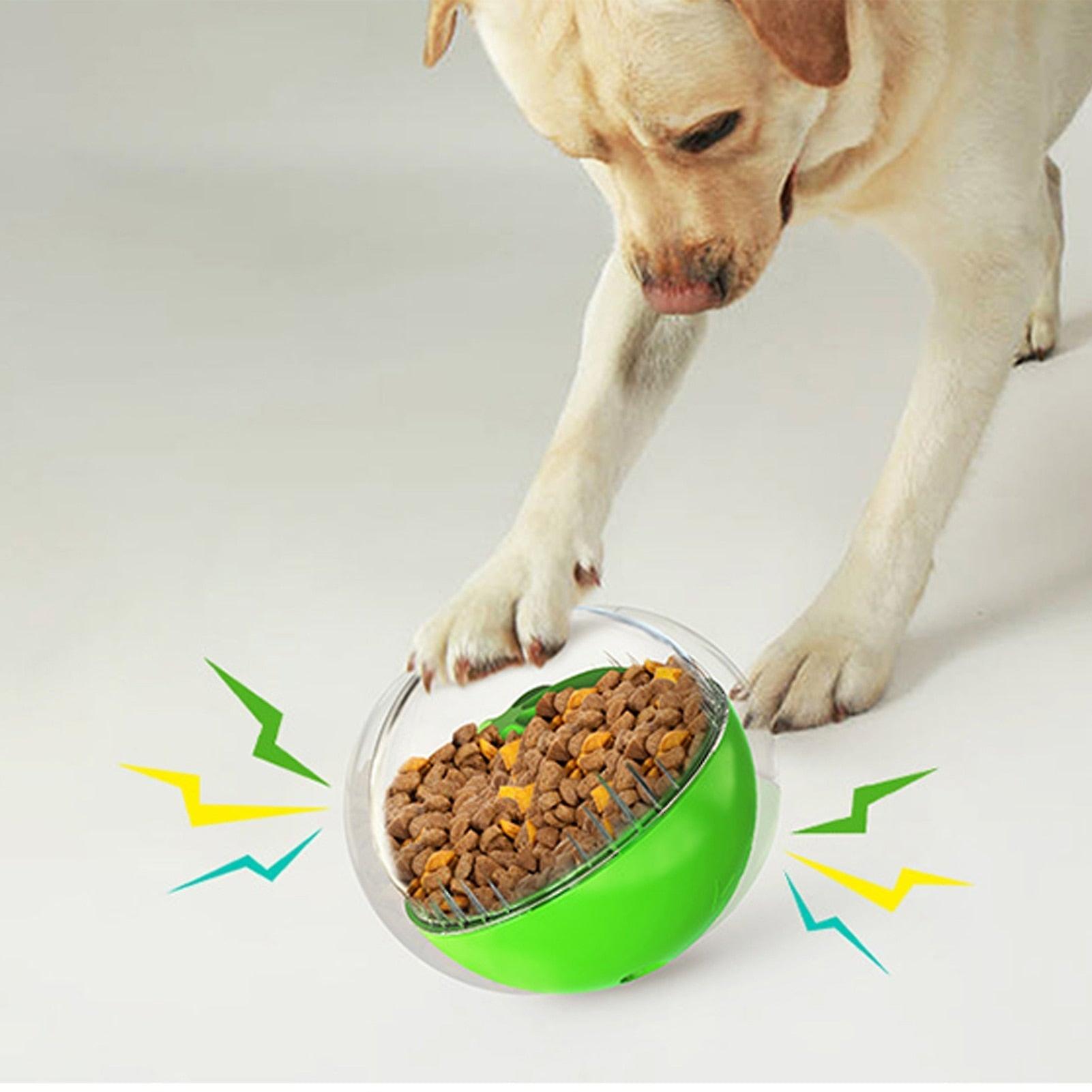 Squeaky dog food ball dispenser toy