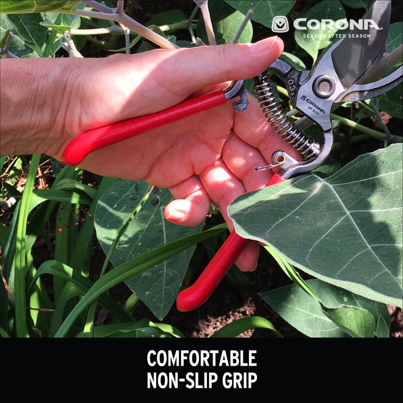 CORONA BY-PASS PRUNER 8