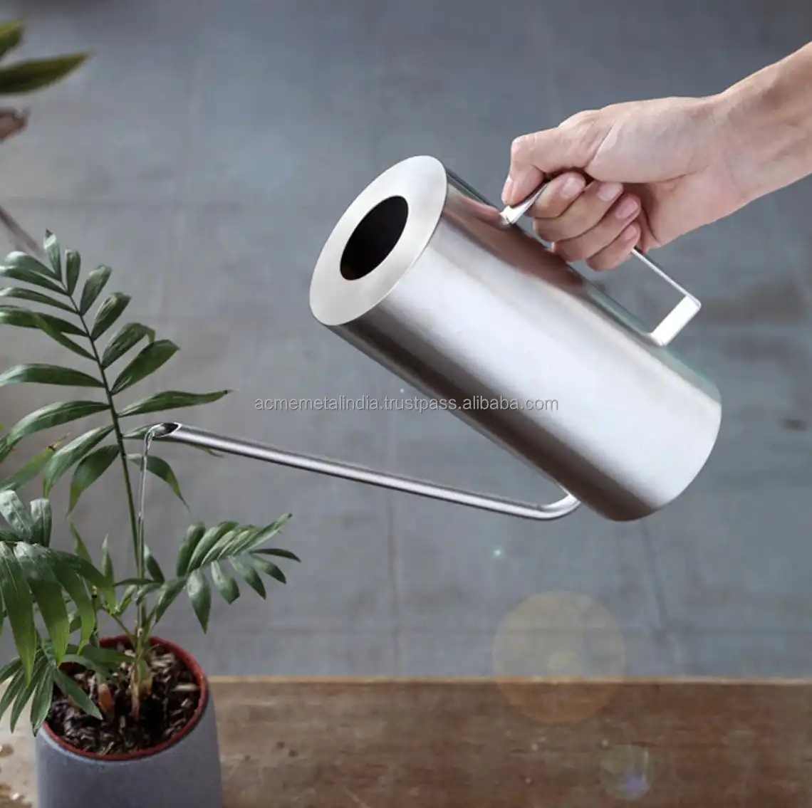 Evergreen Stainless Steel Watering Can Premium Quality High Enameled Metal Plants Watering Can Wholesale Garden Supply Accessory