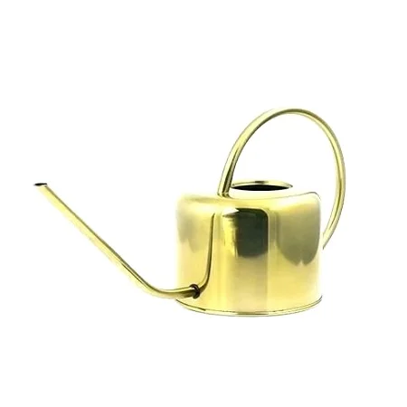 Shiny Gold Plated Metal Watering Cane Bulk Purchase Decorative Small Size Water Cane At Reasonable Price